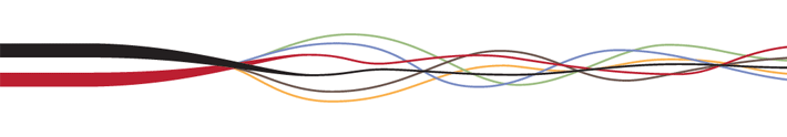 Postkoloniale Studien in der Germanistik